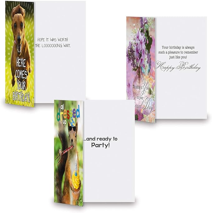 Current Festive Mega Birthday Greeting Card Value Pack – Set of 36 (18 Designs), Large 5 x 7 inches, Envelopes Included