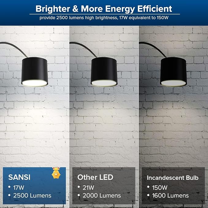SANSI Dimmable LED Light Bulbs, Daylight 5000K Large A19 150W Eqv, 1 Pack | Dimmable Light Bulbs, Flicker Free, Super Bright, 2500LM, CRI 85, E26, 22-Year Ceramic LED, Energy Saving, Home Office Garage