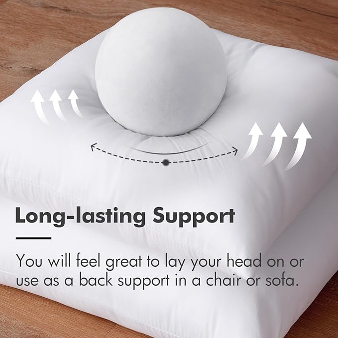 MIULEE Throw Pillow Insert Premium Pillow Stuffer Sham Square for Decorative Cushion Bed Couch Sofa 16x16 Inch