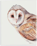 Peeking Barn Owl Gaze Wildlife, 11 x 14 Inch Mounted Print on Wall Plaque | Stupell Industries · By Cady Driver · Ready to hang · Rustic cabin and lodge decor · Made in USA