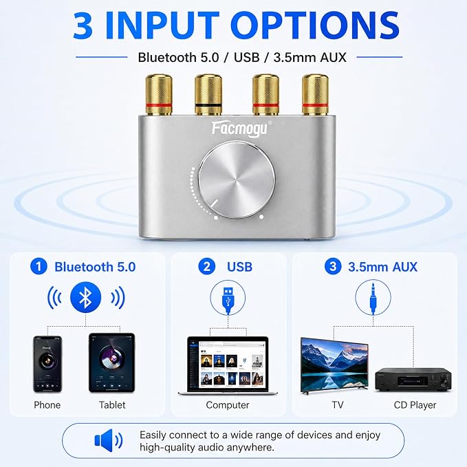 Facmogu F900S Bluetooth 5.0 Mini Power Amplifier, 80Wx2 Stereo Digital Amp | 160W 2.0CH | Hi-Fi Wireless Audio Receiver | AUX/USB/BT Input | Included 12V Power Adapter | For Passive Speakers | Silver