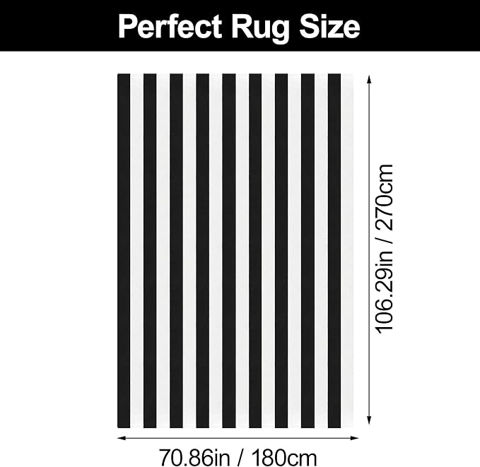 Black and White Striped Rug 6x9 Feet Cotton Woven Rug Reversible Retro Farmhouse Striped Outdoor Rug Washable Indoor Outdoor Area Rug for Living Room Bedroom Dining Room Home Decor Carpets