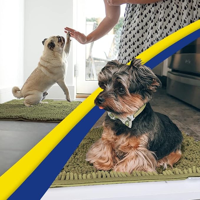 Muddy Mat® | Super Water Absorbent Door Mat Indoor, Microfiber Quick Dry Chenille Entryway Rug, Slip Resistant Front Door Mat, Indoor Mats for Entryway, Machine Washable Pet Rug, Sage 24" x 44"