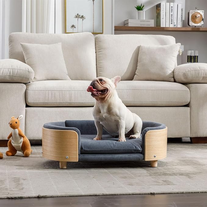 Elevated Dog Bed Pet Sofa with Solid Wood Legs and Bent Soft Backrest, Pet Cat Stool Bed with Velvet Cushion,for Small and Medium Size Dogs Kitten, Mid Size