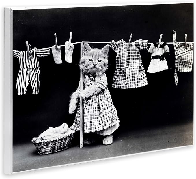 Stupell Industries Kitten Does The Laundry Wall Plaque Art, Proudly Made in USA, 10 x 15 | Stupell Industries · By Lil' Rue · Ready to hang · Fun gift for cat lovers · Made in USA