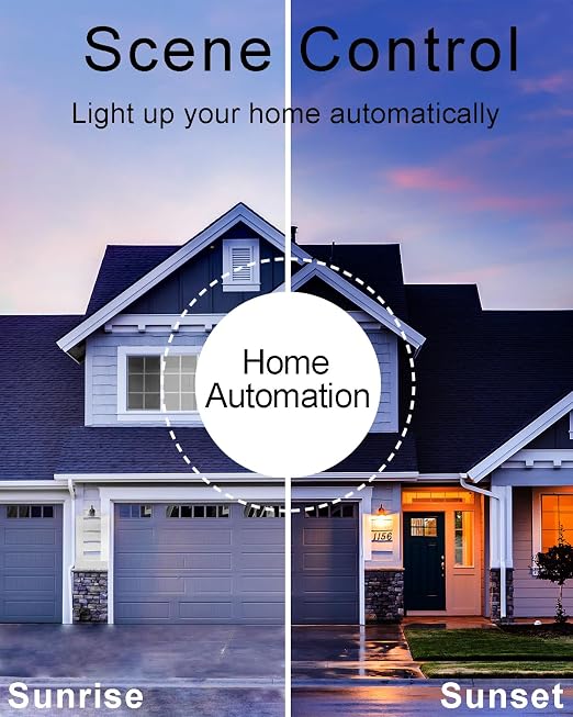 Smart Light Switch - Thinkbee 2.4Ghz WiFi Wireless Light Switch kit | Compatible with Alexa, Google Assistant and IFTTT, Outdoor 1969ft Indoor 328ft Remote Control, No Hub Required, Ceiling Lamp