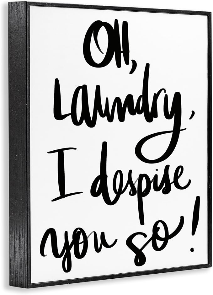 Stupell Industries 'Laundry I Despise You', Framed Giclee Art, Black, 24 x 30 Inches, Easy to Hang and Sturdy, Made in USA, by SD Graphics Studio | Stupell Industries | Black, 24 x 30 Inches, Easy to Hang and Sturdy, Made in USA, by SD Graphics Studio