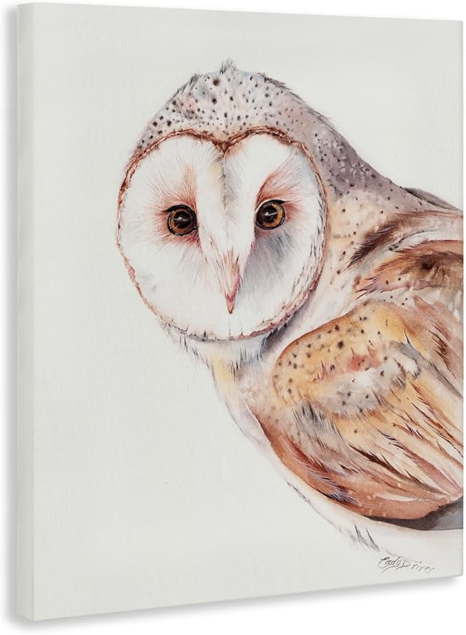 Peeking Barn Owl Gaze Wildlife, 16 x 20 Inch Canvas Wall Art | Stupell Industries · By Cady Driver · Ready to hang · Rustic cabin and lodge decor · Made in USA