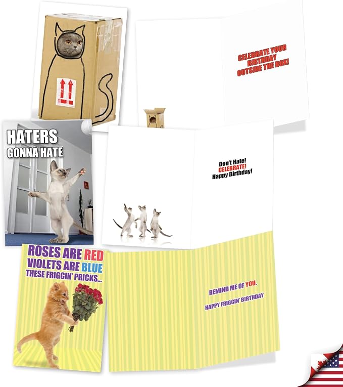 NobleWorks 20 Assorted Box Set Funny Birthday Greeting Cards w/5 x 7 Inch Envelopes (10 Designs, 2 Each) Bday PetiGreet Cats AC4886BDG-B2x10