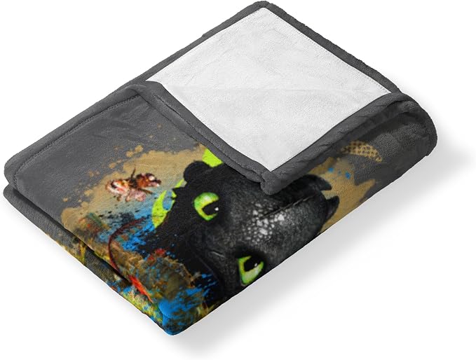 Northwest How to Train Your Dragon Follow My Lead Silk Touch Throw Blanket 40x50 inches