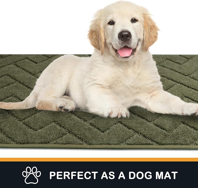 PURRUGS Dirt Trapping Door Mat 32" x 70", Non-Slip Machine Washable Entry Rug, Dog Doormat, Indoor Front Door Mat, Super Absorbent Entryway Rug for Muddy Shoes & Paws, Sage Green