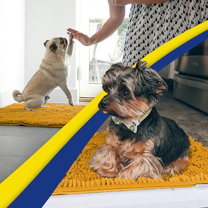 Muddy Mat® | Super Water Absorbent Door Mat Indoor, Microfiber Quick Dry Chenille Entryway Rug, Slip Resistant Front Door Mat, Indoor Mats for Entryway, Machine Washable Pet Rug, Gold 2ft x 4ft