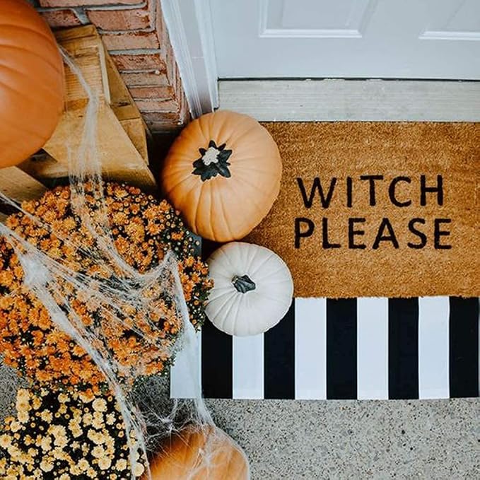 CAINANEL Black and White Striped Outdoor Rug 27.5X 43 inches Front Door Mat Hand-Woven Cotton Indoor/Outdoor for Layered Mats,Welcome Mat, Porch,Farmhouse,Kitchen,Entry Way