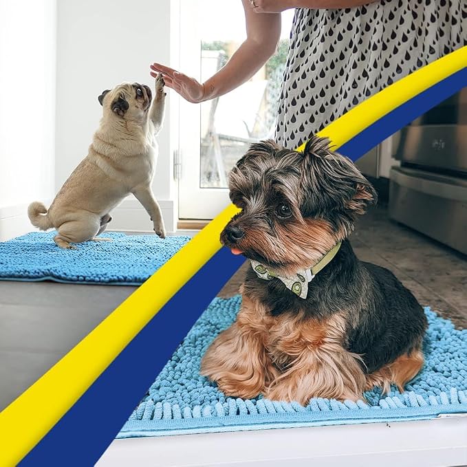 Muddy Mat® | Super Water Absorbent Door Mat Indoor, Microfiber Quick Dry Chenille Entryway Rug, Slip Resistant Front Door Mat, Indoor Mats for Entryway, Machine Washable Pet Rug, Sky Blue 30" x 60"