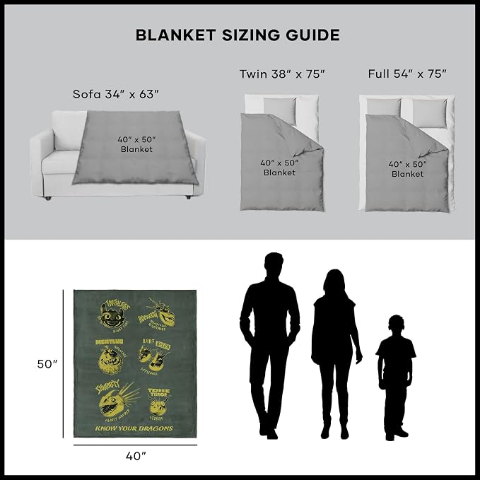 Northwest How to Train Your Dragon Know Your Dragons Silk Touch Throw Blanket 40x50 inches