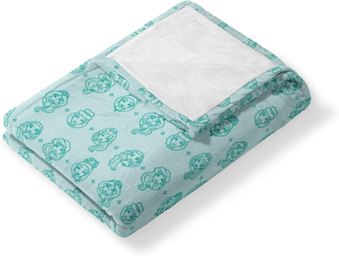 Northwest Disney Princess Silk Touch Throw Blanket, 50" x 60", Princess Entourage
