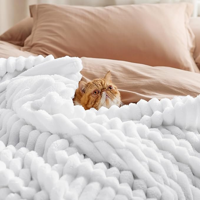 Bedsure GentleSoft White Fleece Blanket for Couch - Cozy Soft Blankets for Women, Cute Small Throws for Girls, Bright White, 50x70 Inches