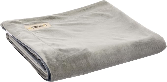 Friends Forever Dog Bed Blanket, Pets Blankets for Couch Sofa Protection | Durable Reversible Pet Hair Resistant Blanket for Dogs Cats Bed Kennel Crate Car Seat - Soft Velvet, Warm Fleece, 53" x 42"