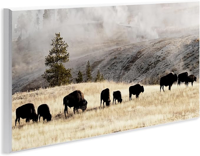 Stupell Industries 'Grazing Bison Foggy Countryside'| Wall Plaque Art | Stupell Industries | 17 x 7 Inches, Easy to Hang and Sturdy, Made in USA, by Danita Delimont