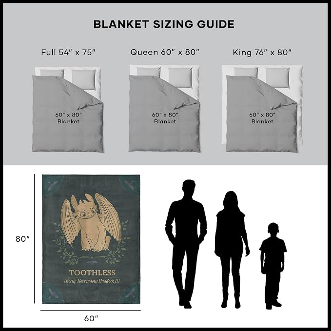 How to Train Your Dragon Hiccup and Toothless Silk Touch Throw Blanket 60×80 inches