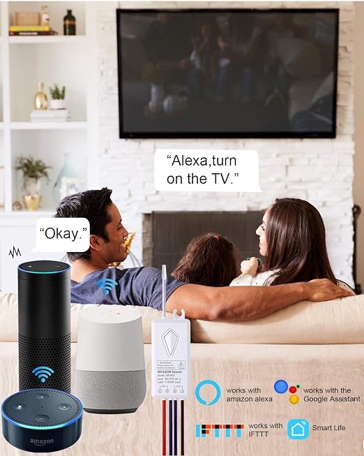 Smart Light Switch - Thinkbee 2.4Ghz WiFi Wireless Light Switch kit | Compatible with Alexa, Google Assistant and IFTTT, Outdoor 1969ft Indoor 328ft Remote Control, No Hub Required, Ceiling Lamp
