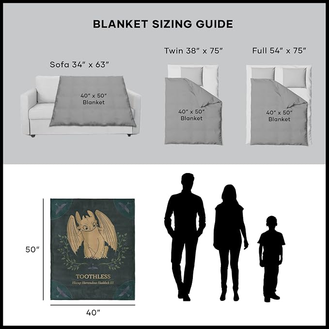 How to Train Your Dragon Hiccup and Toothless Silk Touch Throw Blanket 40x50 inches