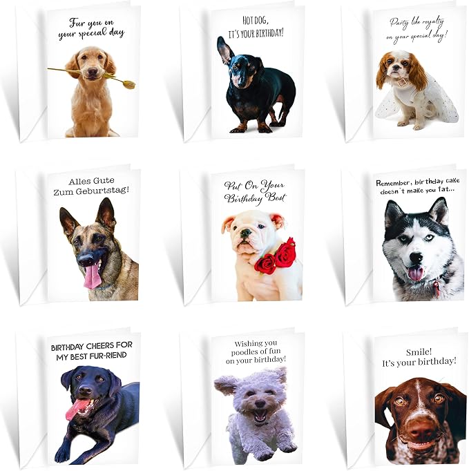 Prime Greetings 24 Funny Dog Birthday Card Assortment - Greeting Card Assortment - Funny Birthday Cards Bulk - Boxed Birthday Cards Box Set With Message inside, Made In America, Eco-Friendly
