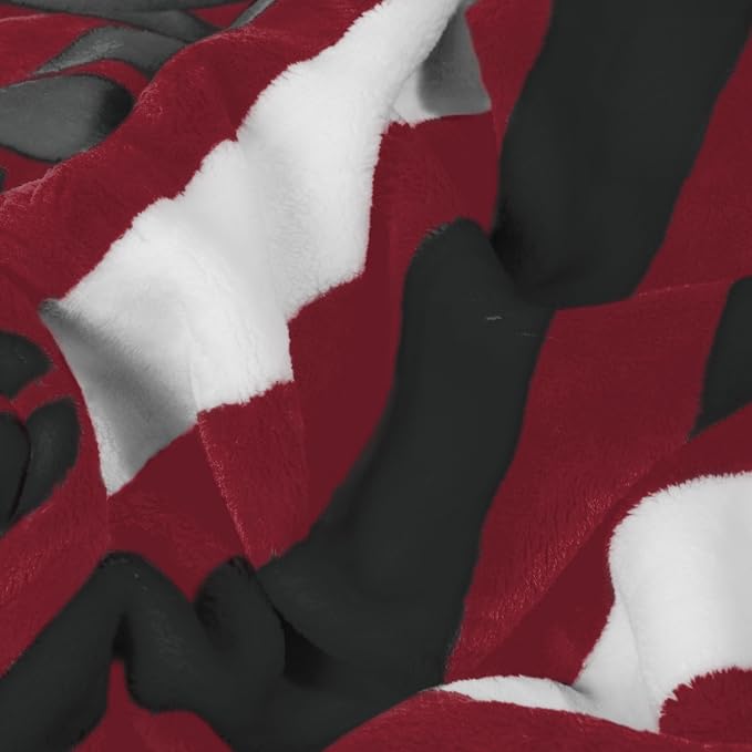 Logo Brands NCAA Raschel Throw Blanket – 50 x 60 Soft Fleece Blanket, Officially Licensed Collegiate Design, Cozy Throw for Tailgating, Game Day, & Home Décor