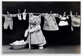 Stupell Industries Kitten Does The Laundry Wall Plaque Art, Proudly Made in USA, 10 x 15 | Stupell Industries · By Lil' Rue · Ready to hang · Fun gift for cat lovers · Made in USA