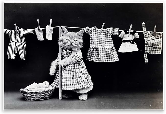 Stupell Industries Kitten Does The Laundry Wall Plaque Art, Proudly Made in USA, 10 x 15 | Stupell Industries · By Lil' Rue · Ready to hang · Fun gift for cat lovers · Made in USA