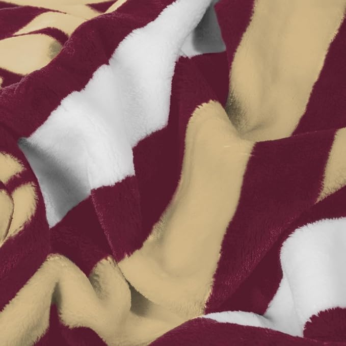 Logo Brands NCAA Raschel Throw Blanket – 50 x 60 Soft Fleece Blanket, Officially Licensed Collegiate Design, Cozy Throw for Tailgating, Game Day, & Home Décor