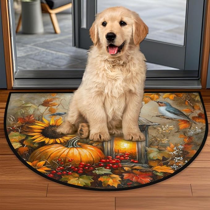 Animal Pumpkin Half Round Door Mat Non Slip Half Circle Rugs | Autumn Art Washable Half Moon Rug Semi Circle Rugs Indoor Entrance Floor Carpet for Kithen Bedroom Fireplace Decor