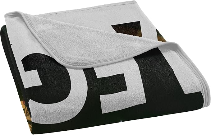 Northwest Harry Potter Micro Raschel Throw Blanket, 46" x 60", Legend