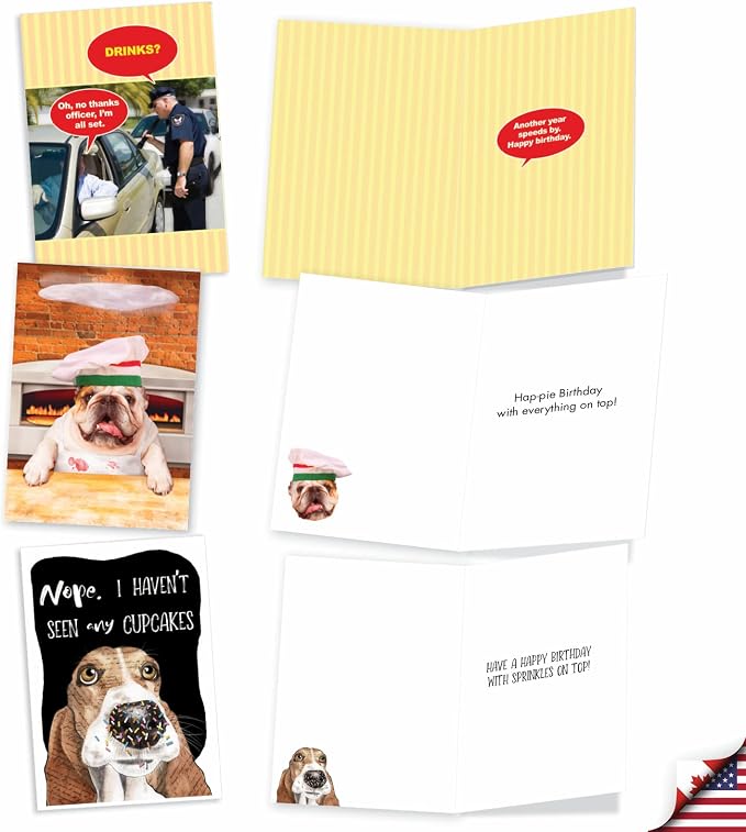 NobleWorks Older Not Wiser - 20 Boxed Birthday Greeting Cards with Envelopes (4.63 x 6.75 Inch) - AC8840BDG-B2x10