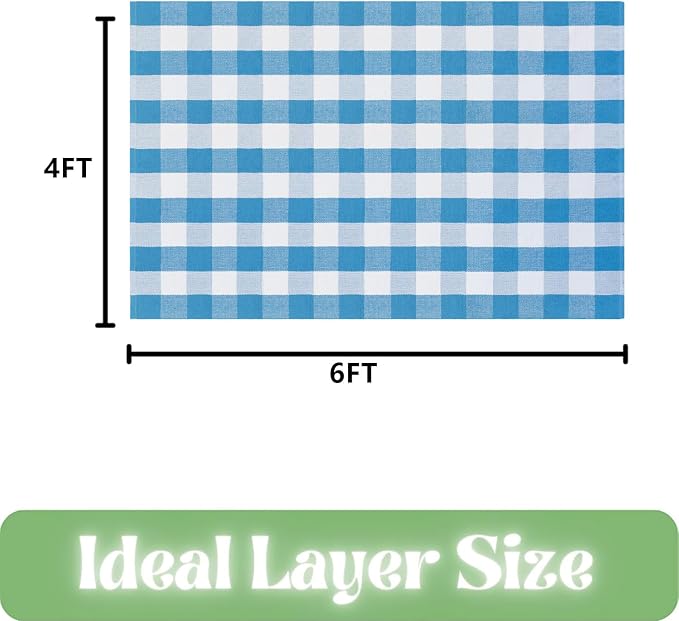 Ckorzen Blue and White Plaid Rug, 4' x 6' Spring Outdoor Front Porch Door Decor Mat, Washable Cotton Woven Farmhouse Area Rug for Layered Door Mats Carpet, Entryway, Easter Décor