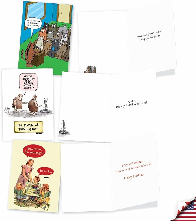 NobleWorks Older Not Wiser - 20 Boxed Birthday Greeting Cards with Envelopes (4.63 x 6.75 Inch) - AC8840BDG-B2x10