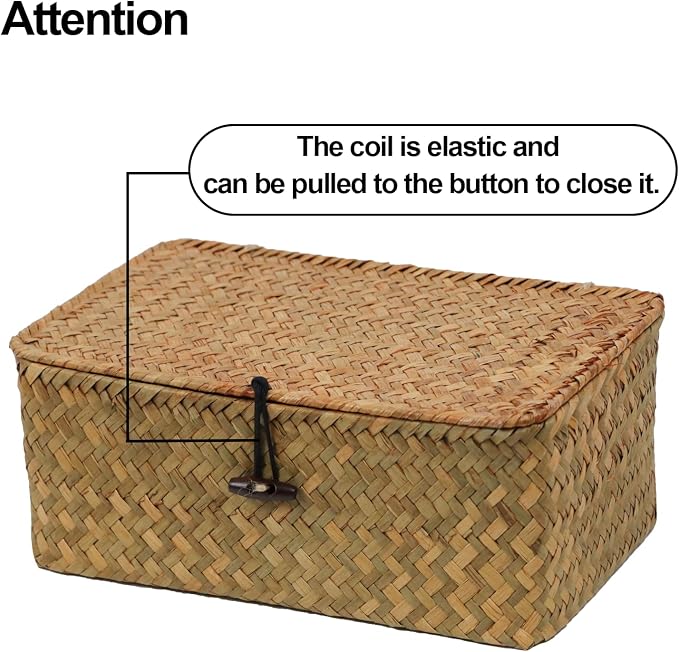 Seagrass Wicker Storage Basket with Lid, Small, Natural | Small Storage Box, Shelf Organizer, Rectangular Woven Bin, Baskets for Organizing, Natural Decor, 9.05 x 5.11 x 3.34