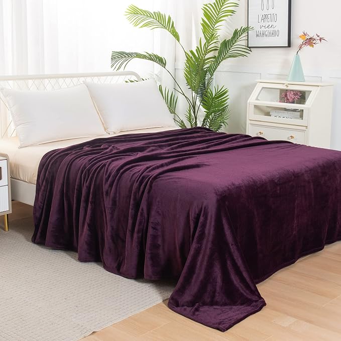 Elegant Comfort Luxury Velvety Feel Blanket, All-Season Lightweight Blanket, Ultra Plush, Soft, Cozy-Fuzzy Flannel Fleece for Couch, Sofa, Bed, Travel, Solid Design, Twin/Twin XL, Purple