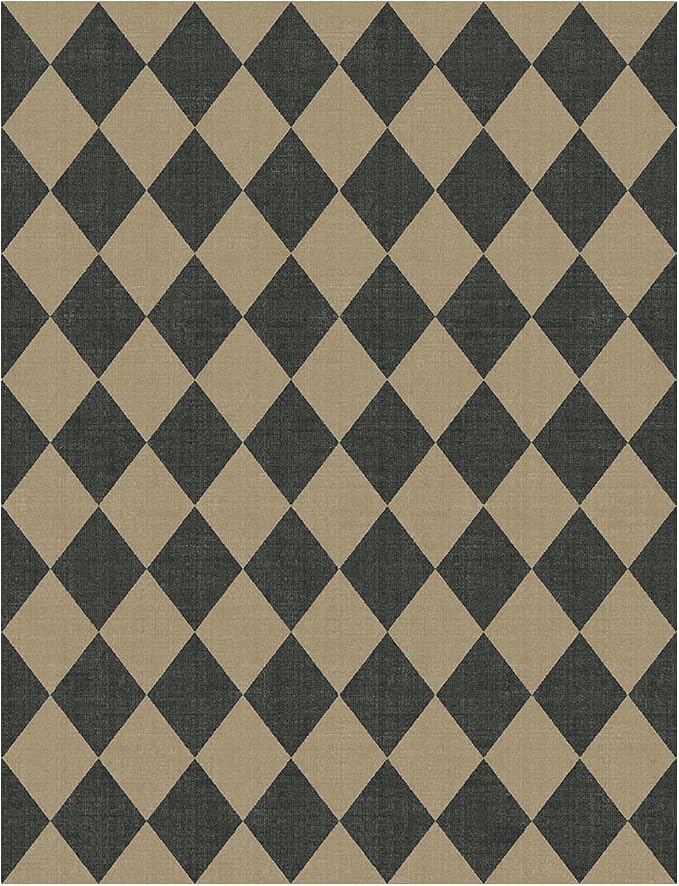 Lessymo Checkered Easy Jute 5x7 Rugs, Washable Patio Rug for Living Room | Farmhouse Indoor Outdoor Carpet, Non Slip for Bedroom Backyard Dining Room, Stain Resistant, Geometric Diamond Black/Beige