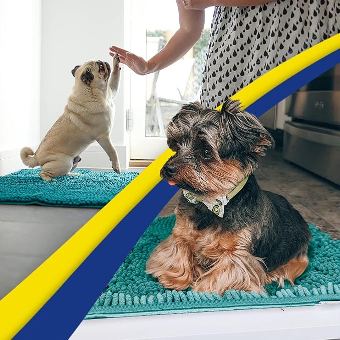 Muddy Mat® | Super Water Absorbent Door Mat Indoor, Microfiber Quick Dry Chenille Entryway Rug, Slip Resistant Front Door Mat, Indoor Mats for Entryway, Machine Washable Pet Rug, Teal 32" x 40"