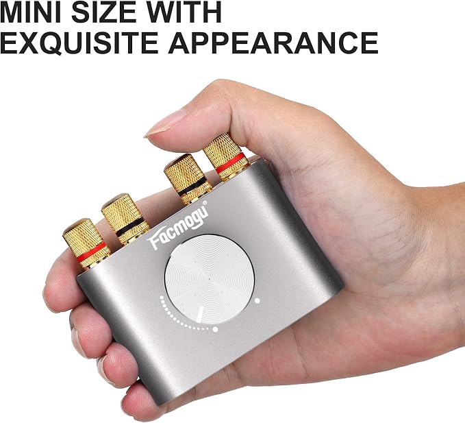 Facmogu F900S Bluetooth 5.0 Mini Power Amplifier, 80Wx2 Stereo Digital Amp | 160W 2.0CH | Hi-Fi Wireless Audio Receiver | AUX/USB/BT Input | Included 12V Power Adapter | For Passive Speakers | Silver
