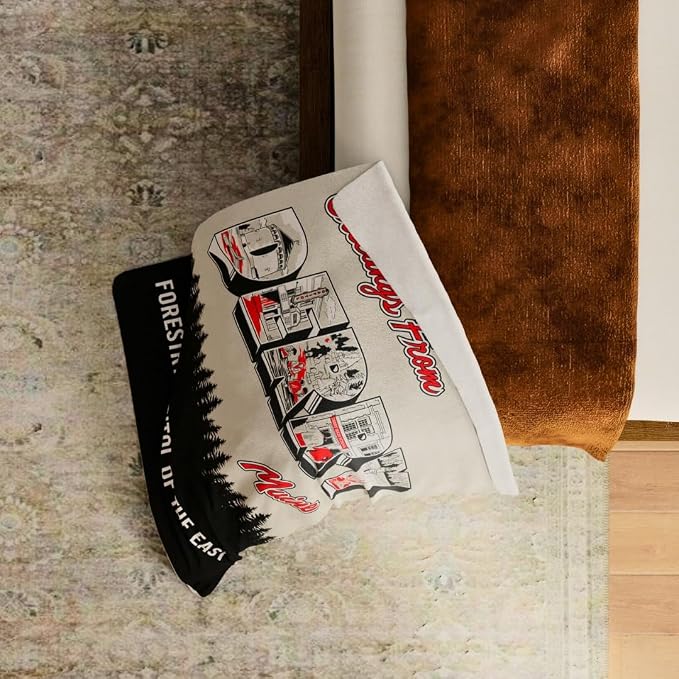 Welcome to Derry IT Pennywise Clown Halloween Horror Throw Blanket, Super Soft Cozy Plush Bedding, 46" x 60", (Officially Licensed Product) by Franco