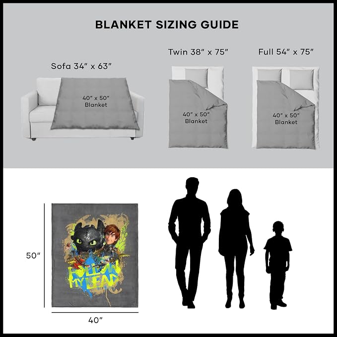 Northwest How to Train Your Dragon Follow My Lead Silk Touch Throw Blanket 40x50 inches
