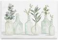 'Soft Green Potted Plants Fresh Herbs Still'| Wall Plaque Art | Stupell Industries | 19 x 13 Inches, Easy to Hang and Sturdy, Made in USA, by Cindy Jacobs