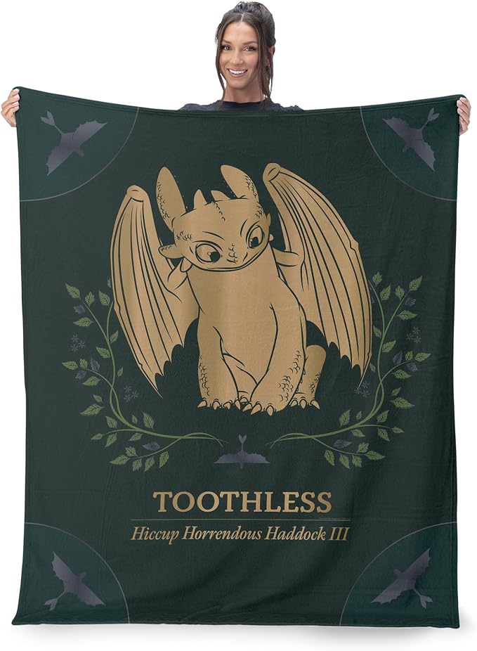 How to Train Your Dragon Hiccup and Toothless Silk Touch Throw Blanket 40x50 inches