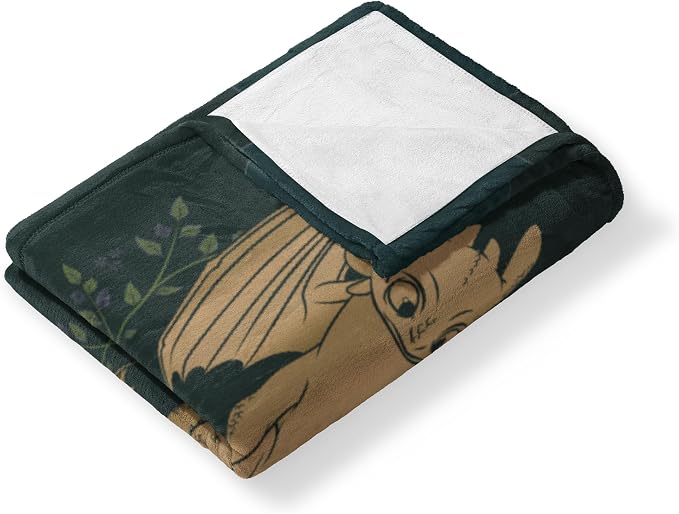 How to Train Your Dragon Hiccup and Toothless Silk Touch Throw Blanket 40x50 inches