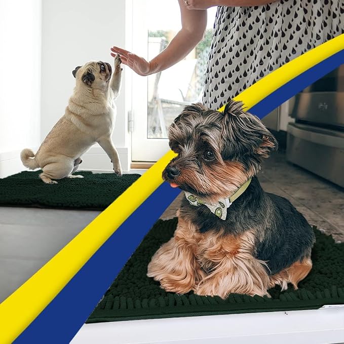 Muddy Mat® | Super Water Absorbent Door Mat Indoor, Microfiber Quick Dry Chenille Entryway Rug,Slip Resistant Front Door Mat,Indoor Mats for Entryway,Machine Washable Pet Rug, Hunter Green 20" x 33"