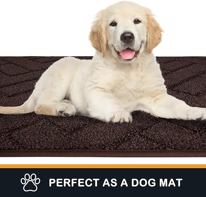 PURRUGS Dirt Trapping Door Mat 24" x 35.5", Non-Slip Machine Washable Entry Rug, Dog Doormat, Indoor Front Door Mat, Super Absorbent Entryway Rug for Muddy Shoes & Paws, Brown