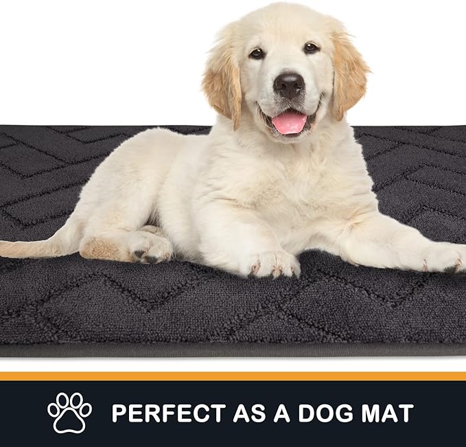 PURRUGS Dirt Trapping Door Mat 32" x 47", Non-Slip Machine Washable Entry Rug, Dog Doormat, Indoor Front Door Mat, Super Absorbent Entryway Rug for Muddy Shoes & Paws, Charcoal