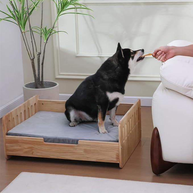 Elevated Dog Bed for Small to Medium Dogs – 32” x 21” Indoor Wooden Pet Sofa with Soft Cushion, Mid-Century Modern Style, Sturdy & Stylish (Natural)